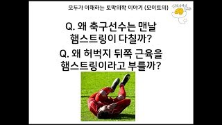 축구선수가 맨날 다치는 햄스트링이 무엇일까? 왜 이름이 그럴까? [모이토의] [김의사박사]