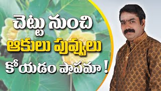 చెట్టు నుంచి ఆకులు పువ్వులు కోయడం పాపమా !  | #Chirravuri@PoojaTV Telugu