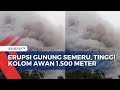 Status Level Tiga! Gunung Semeru Keluarkan Awan Panas dengan Tinggi Kolom Capai 1.500 Meter