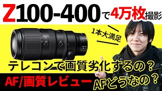 【解説】NIKKOR Z 100-400mm f/4.5-5.6 VR S 4万枚とったのでレビューしてみた。テレコンありとなしで変わる画質【ニコンZマウント】