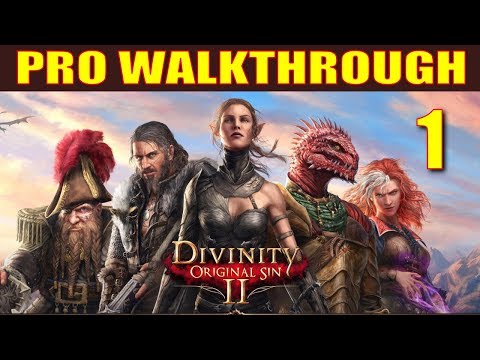 Divinity: Original Sin 2 Walkthrough Part 1 – 5 Things They Don't Tell You in Character Creation