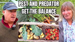 How to Use Nature to Balance Pests and Predators in Your Veg Garden