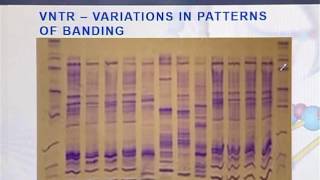 BIO301 Topic163