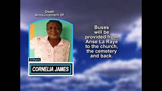 Cornelia James-Smith short