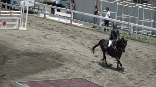 第52回関東学生賞典障害馬術競技　２走目　3年　松井　久実　桜鎧