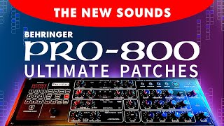 BEHRINGER PRO-800 | The 300 All-New Synth Presets / Sounds / Patches!