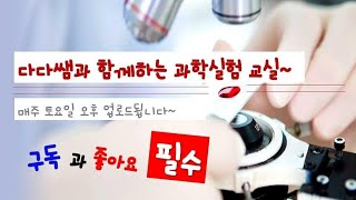 다다쌤과 함께하는 과학실험 교실(물-1)