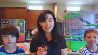 MakeCode in the Kitchen 12