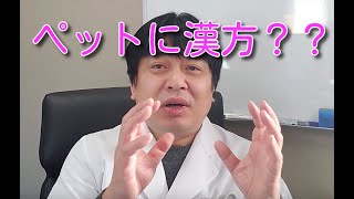 「ペットに漢方？？」について