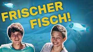 Die Jungs-wg Auf Mallorca | Folge 17