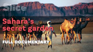 Sahara's secret garden | SLICE | Full documentary
