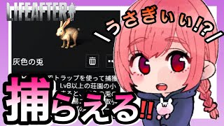 【ライフアフター】ウサギを捕まえに行ってみた！捕まえ方や飼い方をみてみよう！