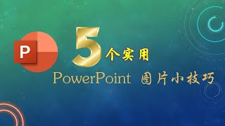 【PowerPoint教学】5个实用PowerPoint图片小技巧