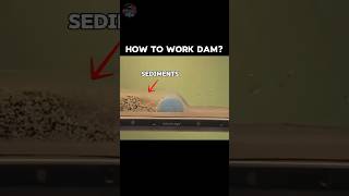 How to Work Dam? #science #scienceexperiment