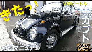 「チャッツＴＶ」＃454　ＶＷビートル中古車紹介！珍しい昭和のビートルです！程度が非常に良すぎる！グーネット掲載します！中古車買うならチャッツ！