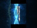 9割の人が知らない縄文時代のセイ事情が凄すぎた…