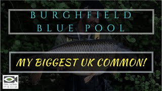 CARP FISHING ~ Burghfield Blue Pool (rigs, bait, tactics and tips)