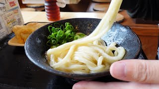 【来客数No.1!!年間200万人来店の超人気店!!】早朝から誰でも食べやすい朝うどん!!讃岐うどんの名店【こだわり麺や フジグラン丸亀店】【香川県のおすすめ讃岐うどん】