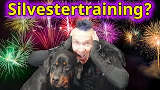 Kein oberflächliches Silvestertraining - Das hilft wirklich!