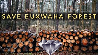 Buxwaha Forest Diamond Mine | The Full Story | Madhya Pradesh | बक्सवाहा जंगल #BuxwahaForest #india