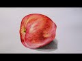 Apple Drawing in Color Pencils | Fruit Drawing | How to Draw an Apple (Time Lapse)