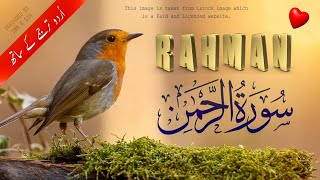 Surah Rehman Tarjuma ke Sath | Qari Al Shaikh Abdul Basit Abdul Samad | islamic Edits 0189