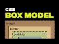 Learn CSS Box Model with Examples