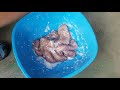 octopus 살아있는 문어손질과 문어 삶는 법 문어 부드럽게 삶는법