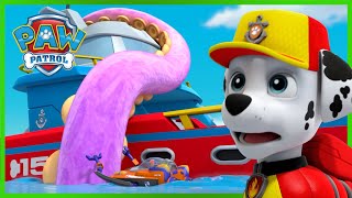 Sea Patroller Rescues! - PAW Patrol - Cartoons for Kids Compilation