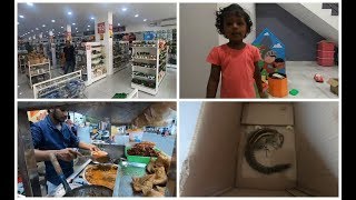 எதை எடுத்தாலும் 100 ரூபாயா ?? Weekend vlog/New family member