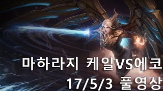 [마하라지] 케일VS에코 17/5/3