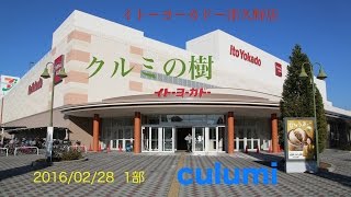 culumi　イトーヨーカドー津久野店　クルミの樹　2016/02/28　１部