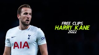 HARRY KANE 2022 ● FREE CLIPS / NO WATERMARK ● FREE TO USE ● HD 1080