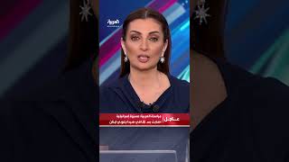 مراسلة العربية: مسيّرة إسرائيلية أصابت بستانا في صيدا جنوبي لبنان