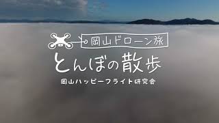 とんぼの散歩 第30回 雲海