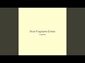 River Fragments Ember