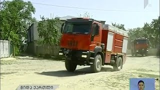 ხანძარი ცედანის ტყეში