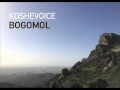 Koshevoice Bogomol