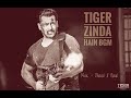 TIGER ZINDA HAI BACKGROUND MUSIC | Tiger Zinda Hai Theme Music | Recreated by Dhaval K Raval