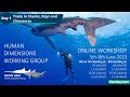 HDWG Workshop Day 1 | Understanding trade for sharks, rays, and chimaeras and their products