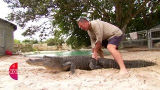 Nigel Marven: How to wrestle an alligator | Watch