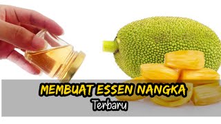 Cara Membuat Essen mancing Alami tanpa bahan kimia | Essence Nangka