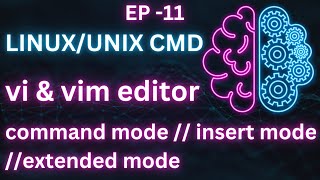 Linux Basic Command // Vi And Vim Editor // Command Mode // Insert Mode // Extended Mode // EP 11