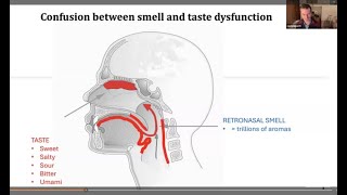 Towards an understanding of taste disturbance for patients and professionals. 20 Nov 2024.