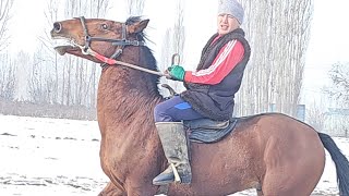 Мошный Ат Кулун Жал Пай Пай Паай ✊️