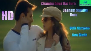 Chandni Aaya Hai Tera | Jaanam Samjha Karo | Udit Narayan | Salman Khan | Urmila Matondkar