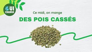 OuiChange // Vidéos Ingrédients // Le pois cassé