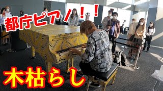 【都庁ピアノ】木枯らしを都庁再開二日目に弾いた！！