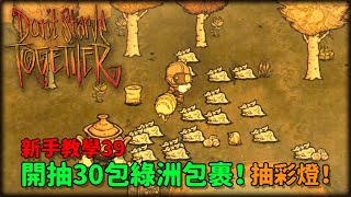 【別挨餓】開抽30包綠洲包裹！會出多少彩燈？ 新手教學39【Don't Starve Together】