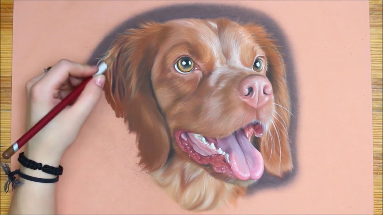 Dog Speeddrawing Svea T Art Youtube